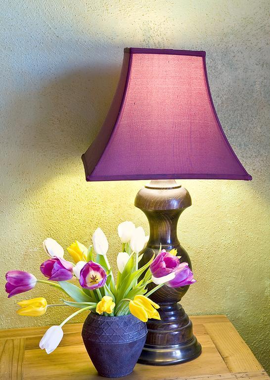 Casa Gallina - An Artisan Inn Taos Habitación foto